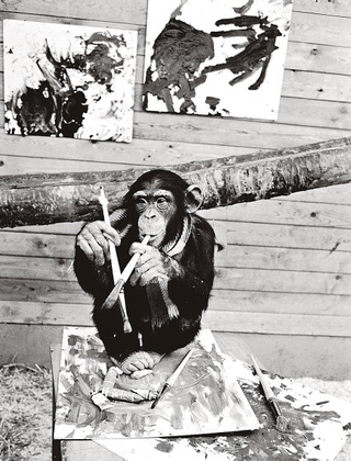 Imagen: Pierre “Peter” Brassau. Wikimedia Commons